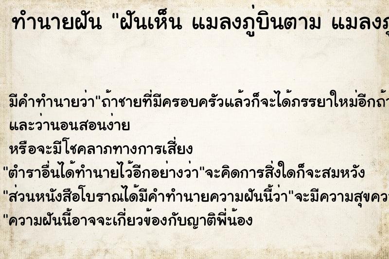 ทำนายฝัน ฝันเห็น แมลงภู่บินตาม แมลงภู่บินตาม